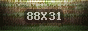 88x31